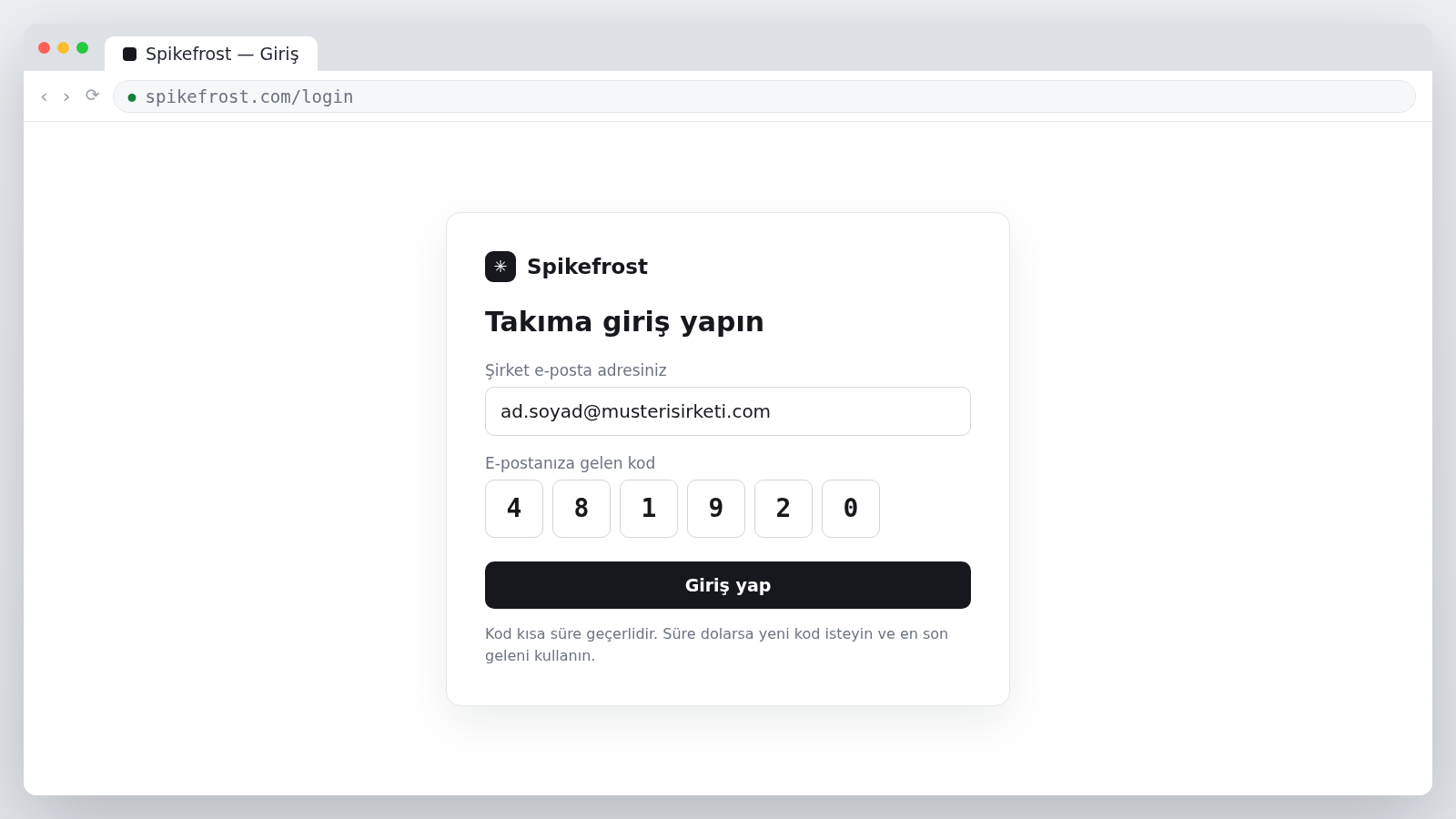 Spikefrost giriş ekranı: şirket e-posta adresi ve tek kullanımlık kod alanları